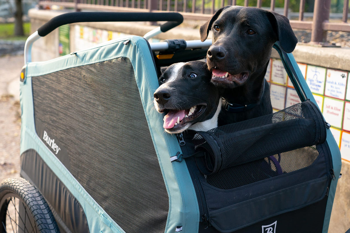 Pet Bike Trailer T605