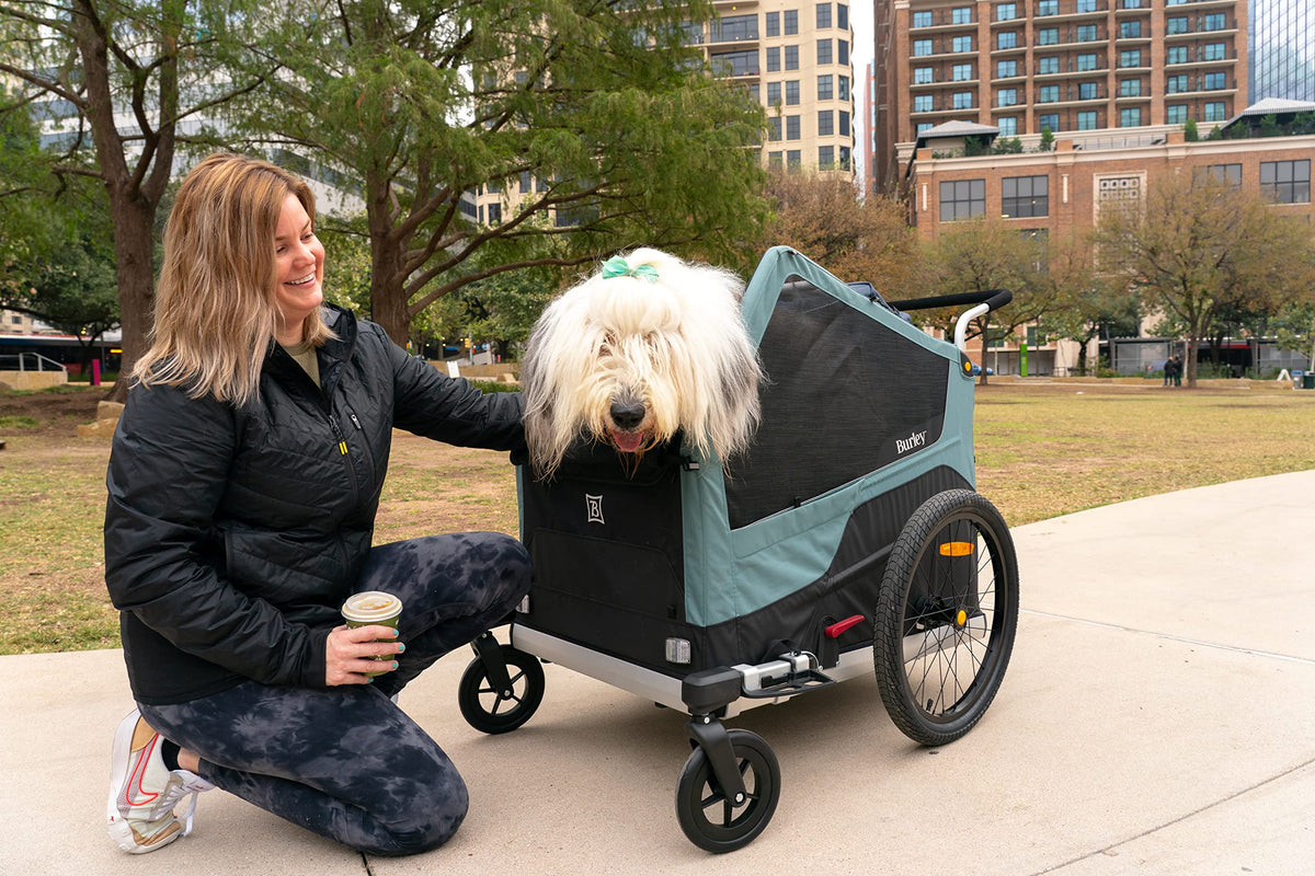 Pet Bike Trailer T605