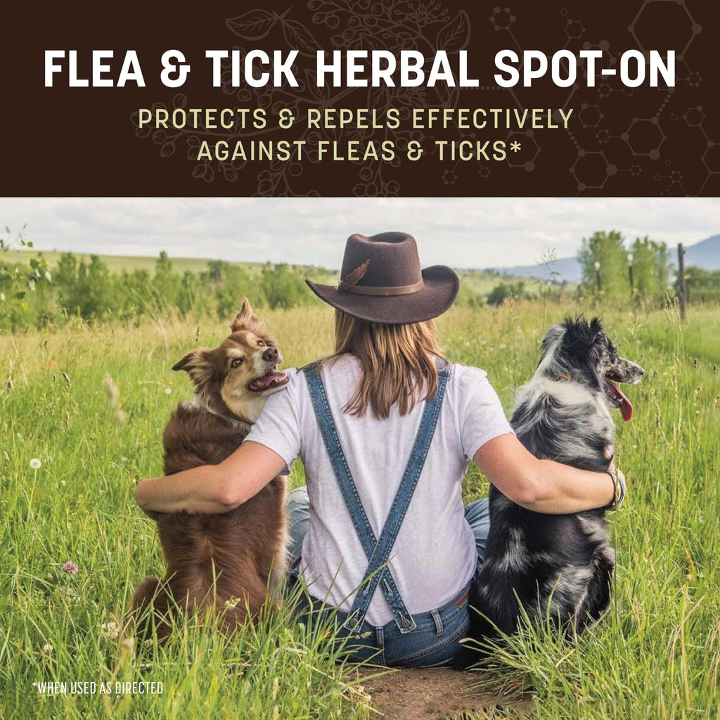 Herbal Spot-On for Medium Dogs G97548