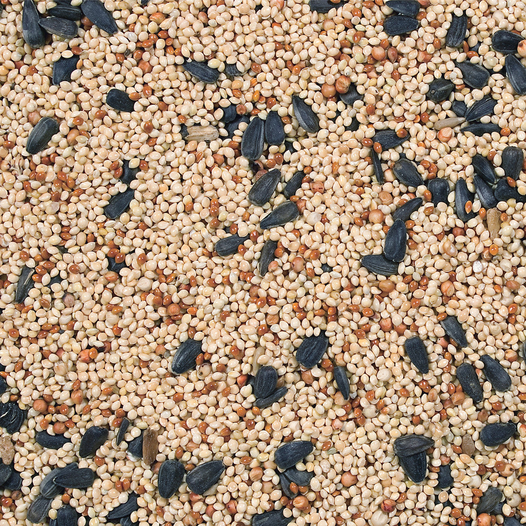 Wild Bird Food, 20 lb E607024